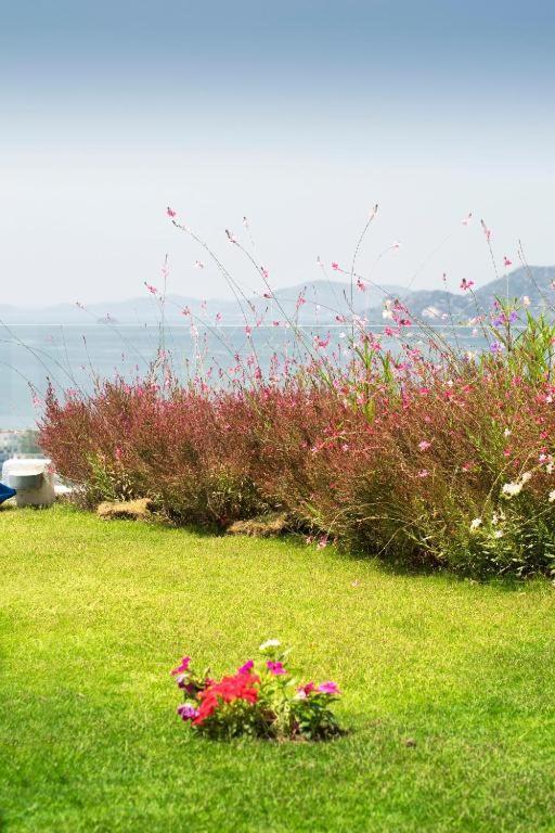 Bodrum Horizon Villas Kültér fotó